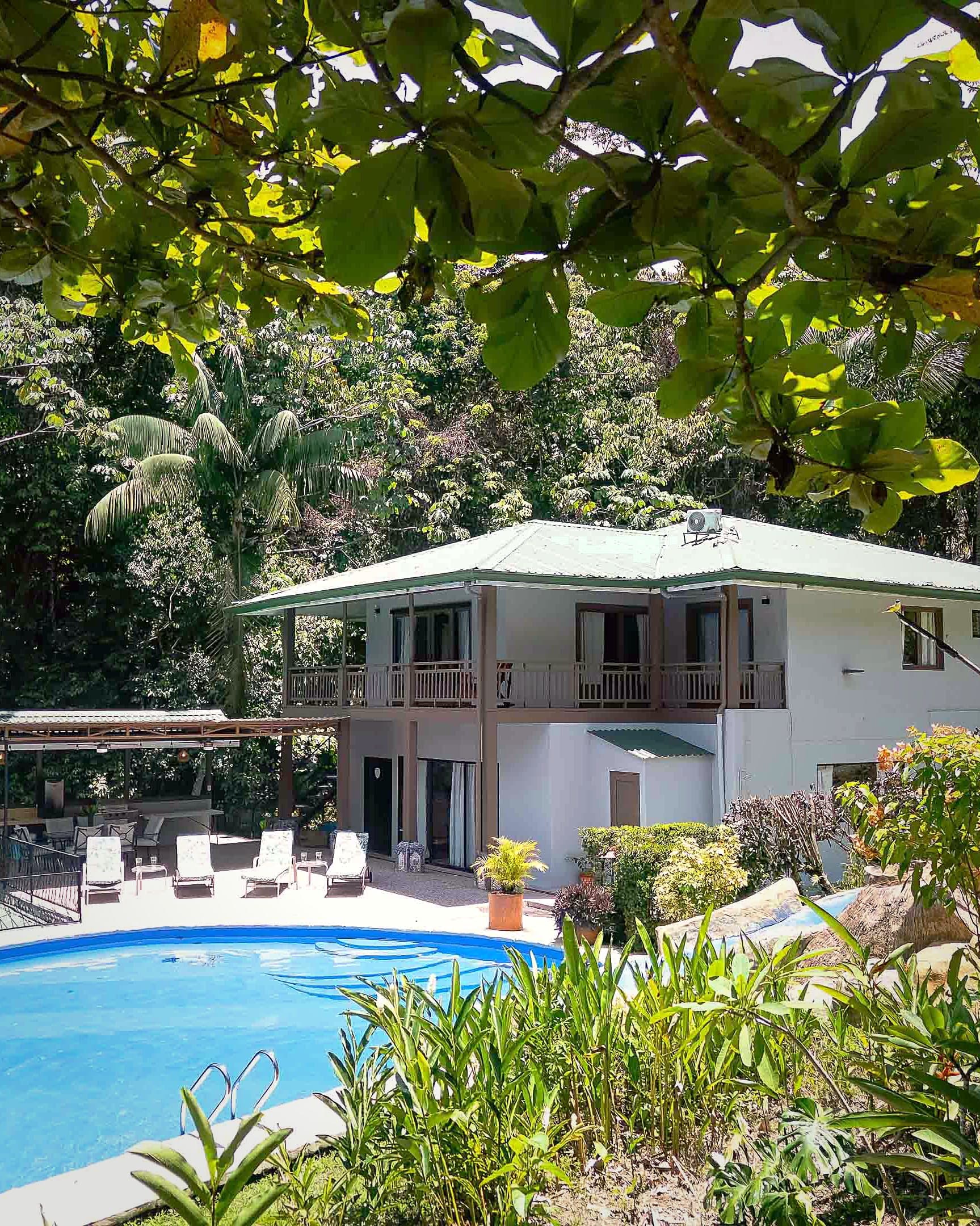 Inmersa en la selva.